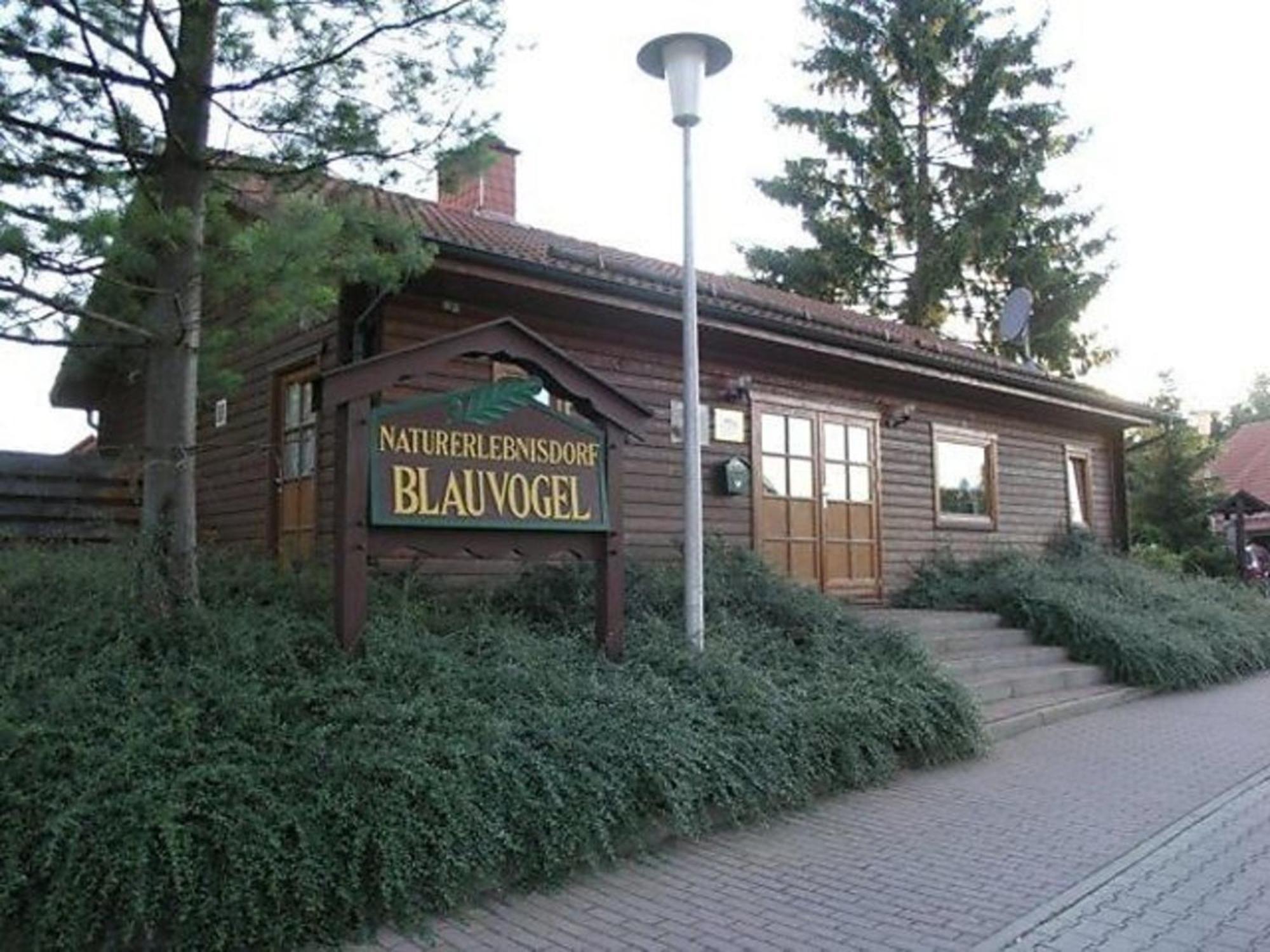Ferienhaus Nr 32, Typ A, Ferienanlage Blauvogel, Hasselfelde, Harz Zewnętrze zdjęcie